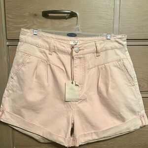 Easel Pleated Shorts